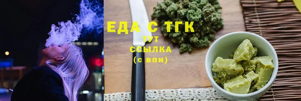 соль ск Дмитриев