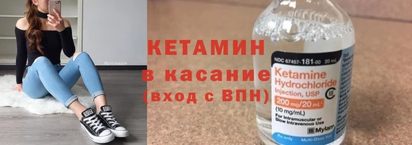 соль ск Дмитриев