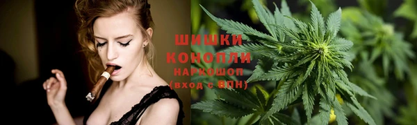 МДПВ Дмитров