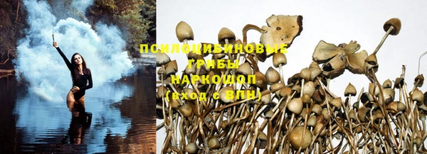 jwh Дмитровск