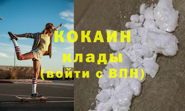 соль ск Дмитриев