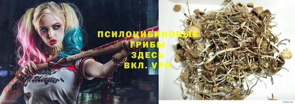 соль ск Дмитриев