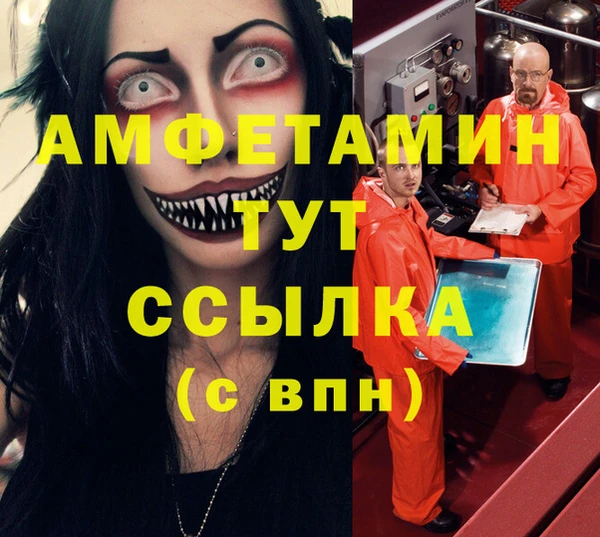 соль ск Дмитриев