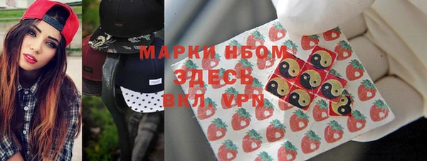 соль ск Дмитриев